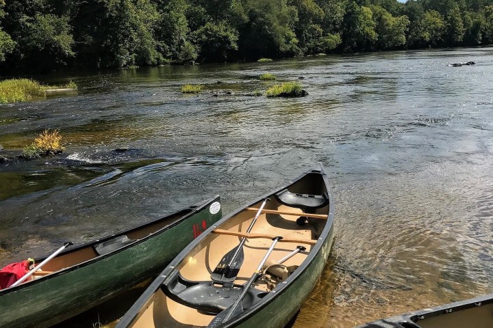 Three green canoes on a riverbank with trees and cloudy sky in the background.